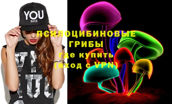 дживик Карпинск