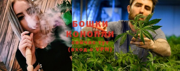дживик Карпинск
