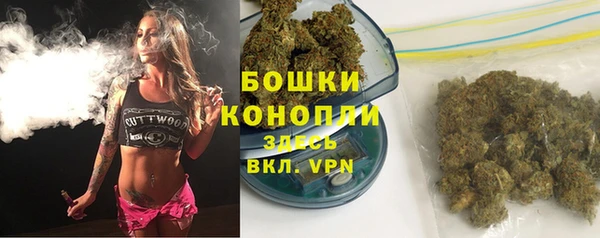 дживик Карпинск